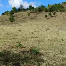 Vende, terreno, Rodovia João Correia da Silva, Munhoz-MG