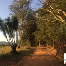 Vende, sítio, Mãe dos Homens, Bragança Paulista-SP