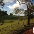 Vende, sítio, Mãe dos Homens, Bragança Paulista-SP