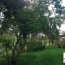 Vende, sítio, Mãe dos Homens, Bragança Paulista-SP