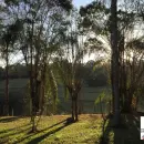 Vende, sítio, Mãe dos Homens, Bragança Paulista-SP