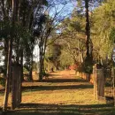 Vende, sítio, Mãe dos Homens, Bragança Paulista-SP