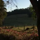 Vende, sítio, Mãe dos Homens, Bragança Paulista-SP