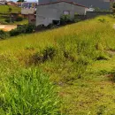 VENDE-SE TERRENO EM PIALZINHO 160 m² R$ 60 MIL OPORTUNIDADE