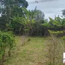 Vende, Chácara, Zona Rural, Munhoz, MG