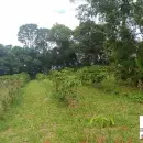 Vende, Chácara, Zona Rural, Munhoz, MG