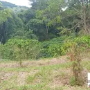 Vende, Chácara, Zona Rural, Munhoz, MG