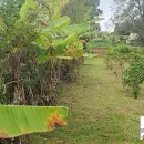 Vende, Chácara, Zona Rural, Munhoz, MG