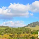 Vende, chácara, Morro Grande Da Boa Vista, Bragança Paulista-SP