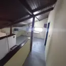 Vende, permuta, chácara, Jardim São Conrado, zona sul, Bragança Pta-SP