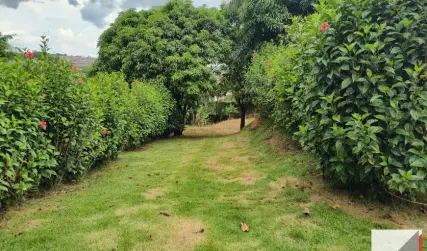 Vende, Chácara, Vila Romana, 7 km do centro, Bragança Paulista SP.