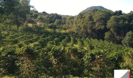 Vende, chácara, zona rural, com nascente, com documentos,Munhoz -MG