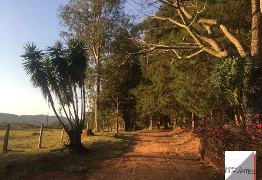 Vende, sítio, Mãe dos Homens, Bragança Paulista-SP - Foto 2