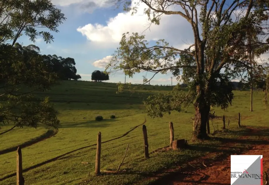 Vende, sítio, Mãe dos Homens, Bragança Paulista-SP - Foto 6