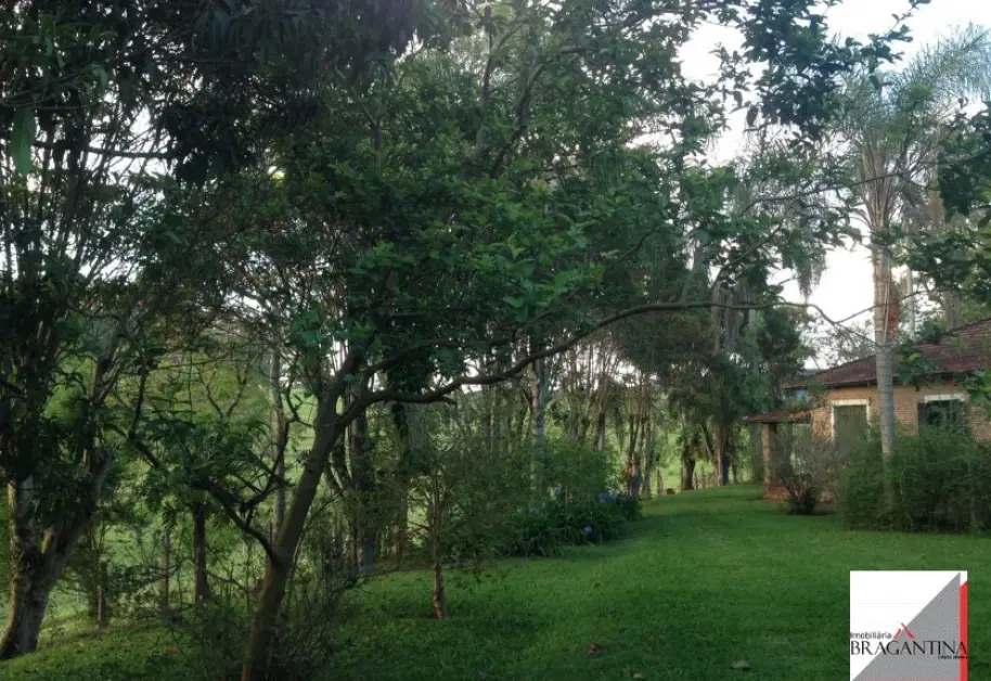 Vende, sítio, Mãe dos Homens, Bragança Paulista-SP - Foto 8
