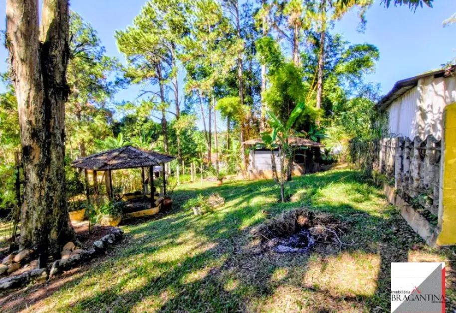 Vende, Chácara, Fernão Dias, Bragança Paulista, SP - Foto 3
