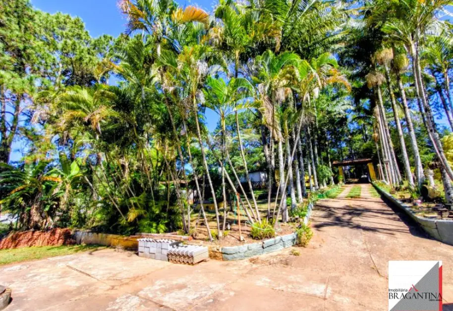 Vende, Chácara, Fernão Dias, Bragança Paulista, SP - Foto 4