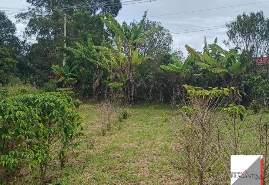 Vende, Chácara, Zona Rural, Munhoz, MG - Foto 17
