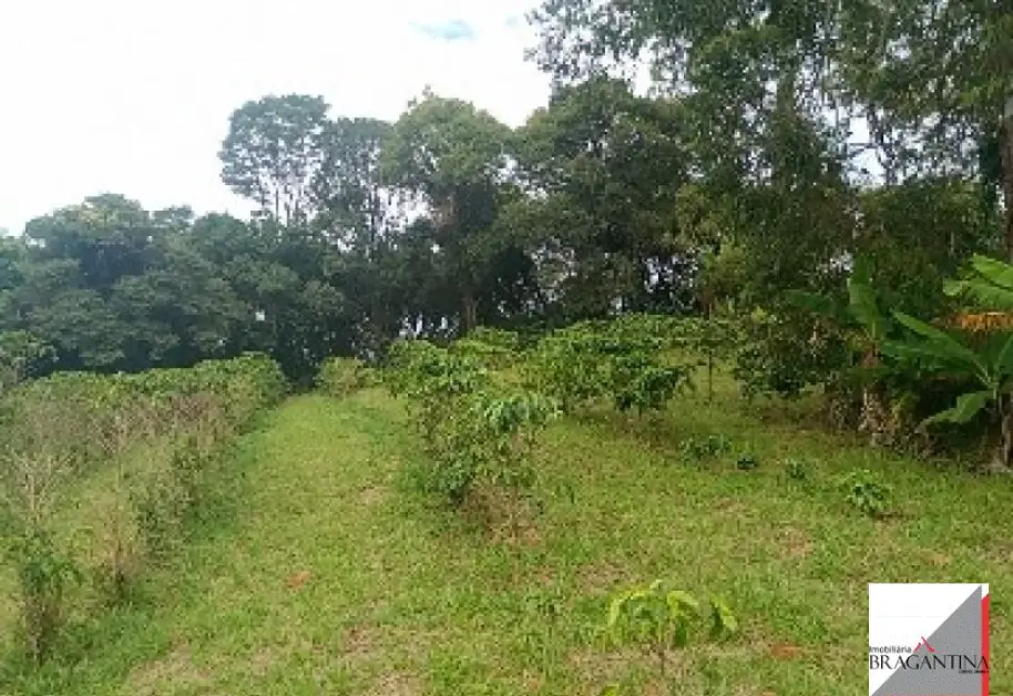 Vende, Chácara, Zona Rural, Munhoz, MG - Foto 9