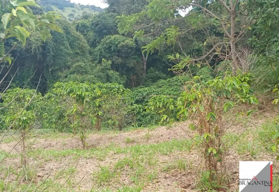Vende, Chácara, Zona Rural, Munhoz, MG - Foto 12