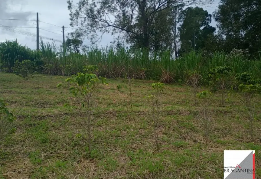 Vende, Chácara, Zona Rural, Munhoz, MG - Foto 15