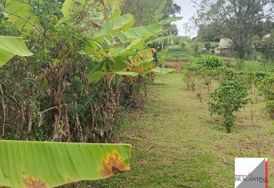 Vende, Chácara, Zona Rural, Munhoz, MG - Foto 16