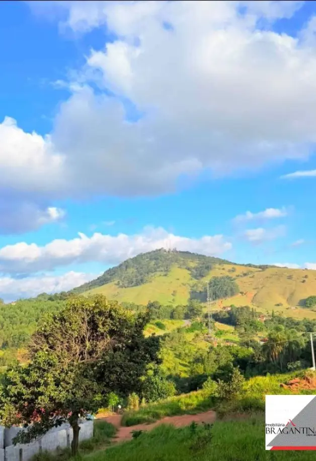 Vende, chácara, Morro Grande Da Boa Vista, Bragança Paulista-SP - Foto 8