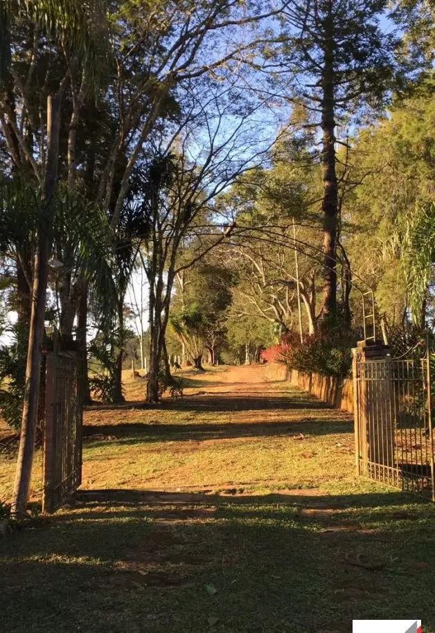 Vende, sítio, Mãe dos Homens, Bragança Paulista-SP - Foto 4