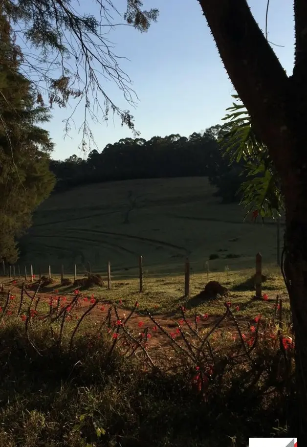 Vende, sítio, Mãe dos Homens, Bragança Paulista-SP - Foto 5